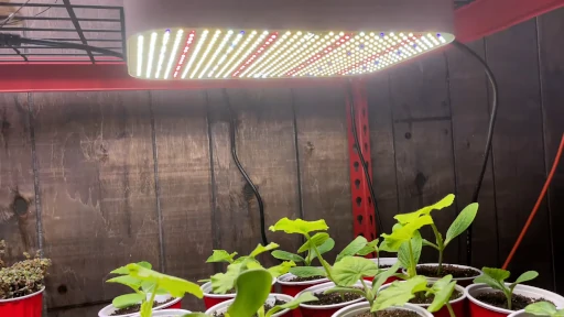outdoor waterproof grow lights